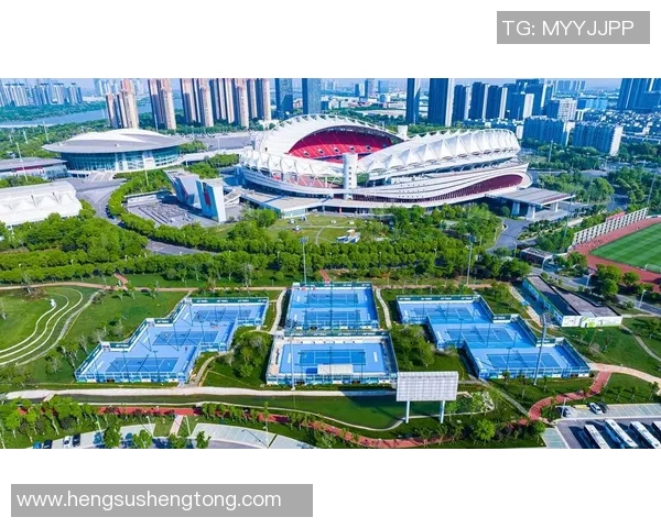 武汉网球队阵地战体系解析与战术运用探讨 武汉网球队阵地战体系解析与战术运用探讨