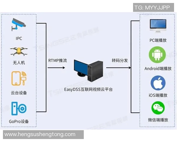 欧美高清视频直播对比分析与观看体验探讨