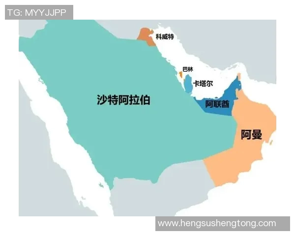 阿联酋与巴林历史交锋战绩详解及未来展望分析