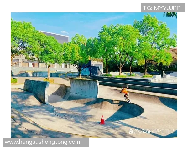 聚焦滑板文化探讨北京滑板队的意识形态与发展现状MBA